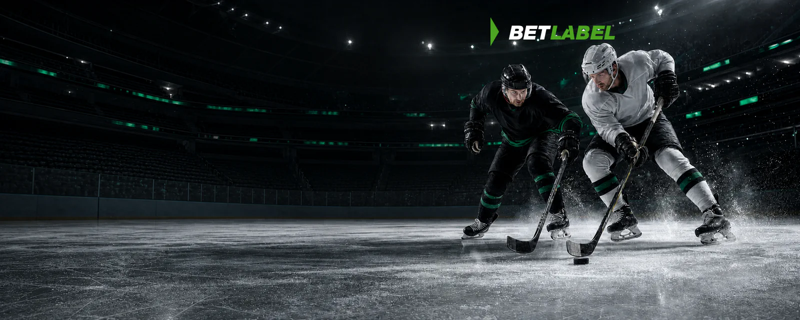 Due giocatori adulti di hockey su ghiaccio